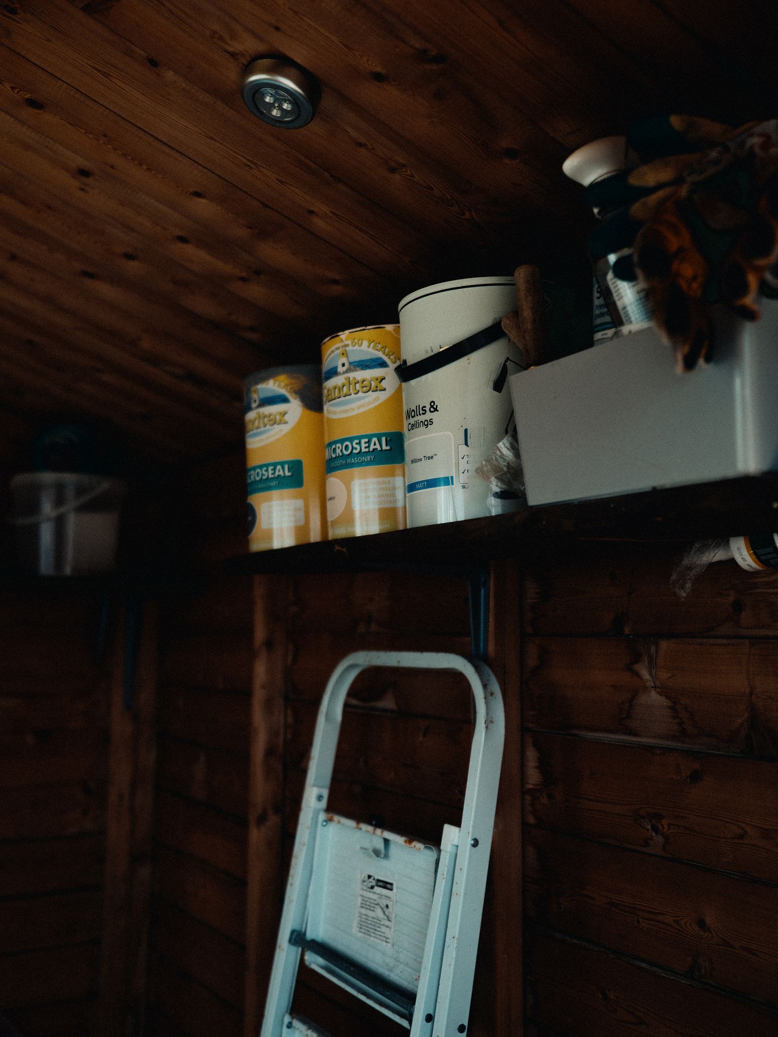 A cozy wooden shed interior with a ladder and paint cans on a shelf.